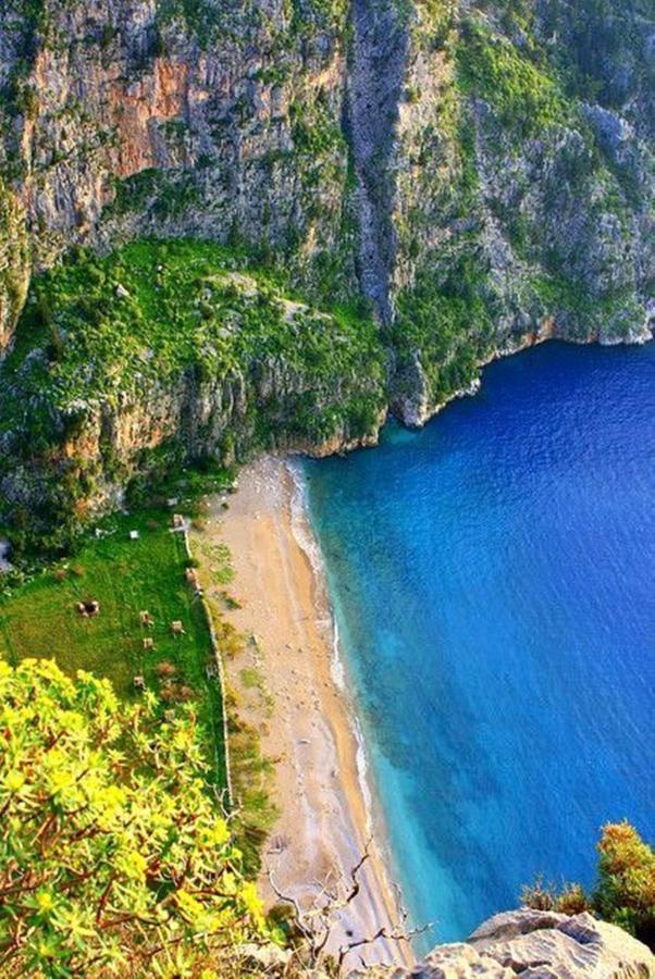 Green Forest Holiday Village Oludeniz Bagian luar foto